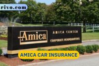 Amika car insurance