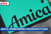 Amica insurance