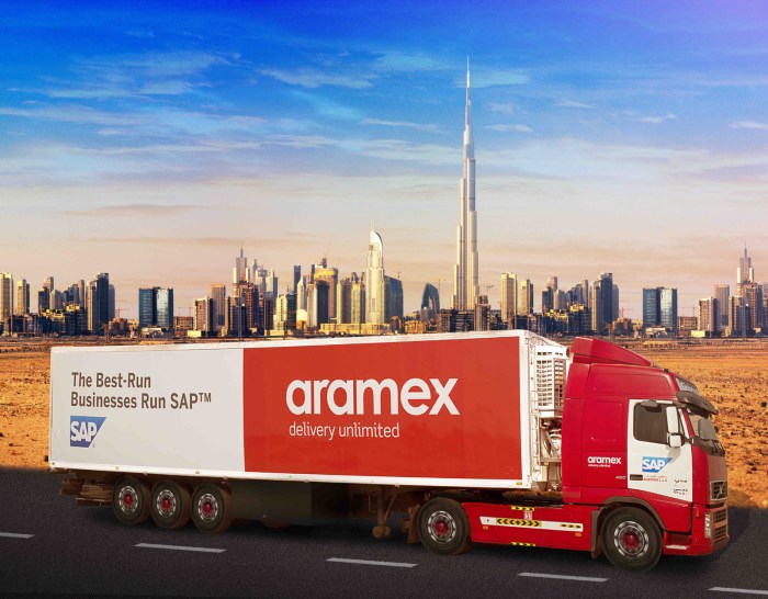 Aramex insurance