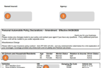 Insurance declaration declarations contained renters