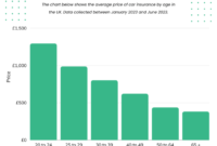 Average car insurance payment