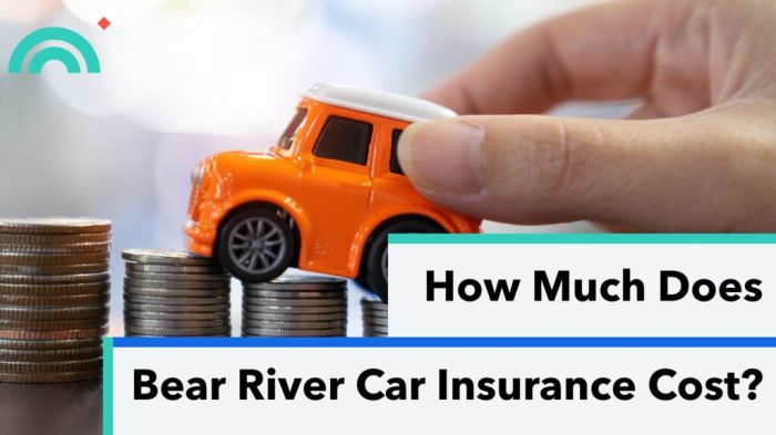 Bear river mutual insurance utah