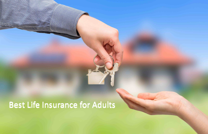 Best life insurance for young adults