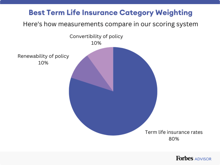 Best insurance companies for term life