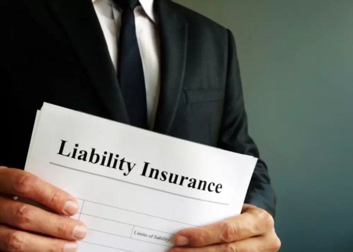 Insurance liability importance owners Insurance liability importance owners
