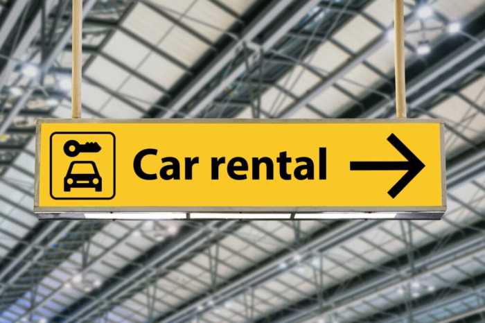 Amex platinum car rental insurance coverage