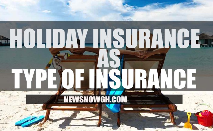 Annual holiday insurance