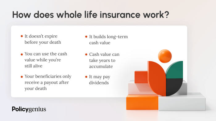 Best whole life insurance policy