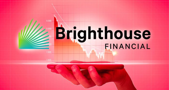 Brighthouse insurance