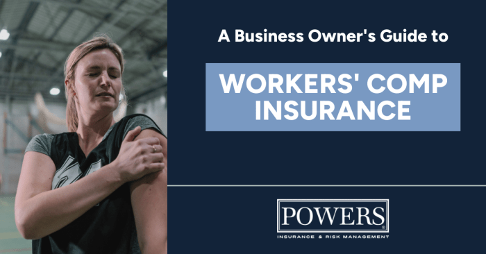 Liability and workers comp insurance