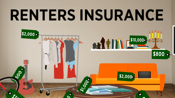 Airplane renters insurance