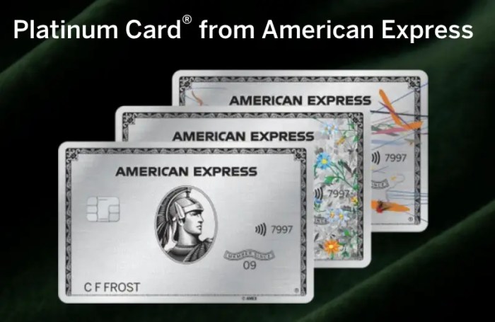 Amex platinum car rental insurance coverage