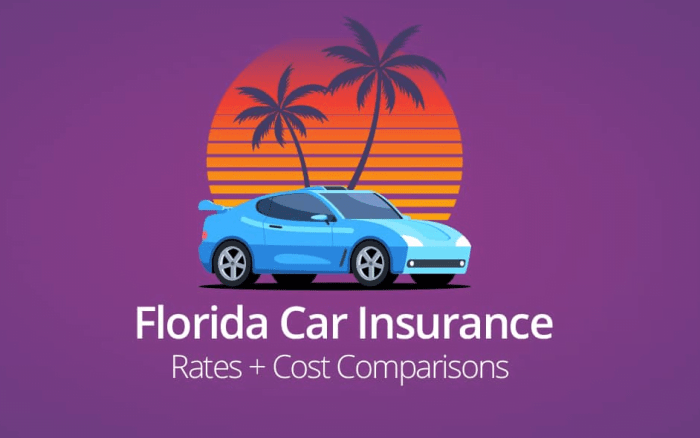 Affordable car insurance in florida