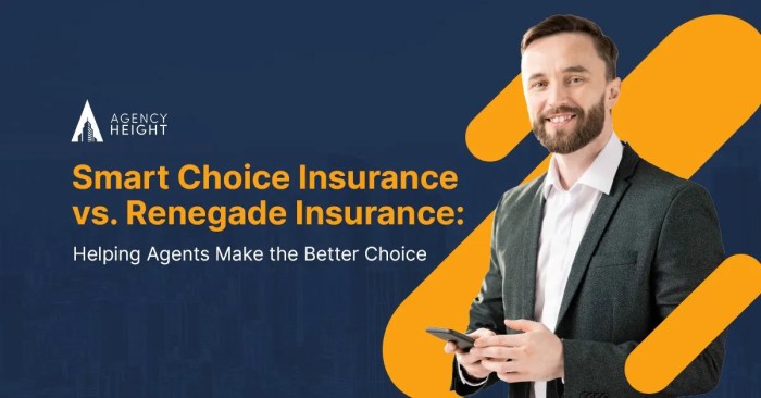 America's choice insurance