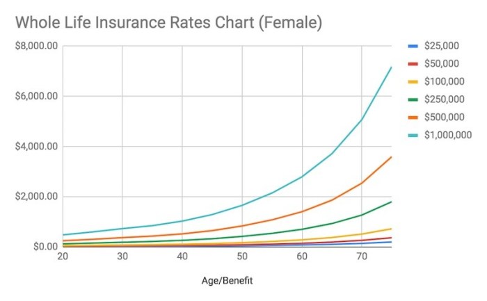 Best insurance rate