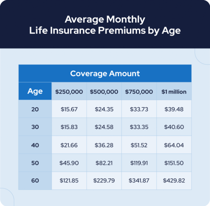 Average price of life insurance per month