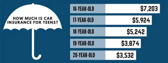 Insurance drivers companies young car