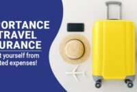 Insurance travel infographic facts au compare