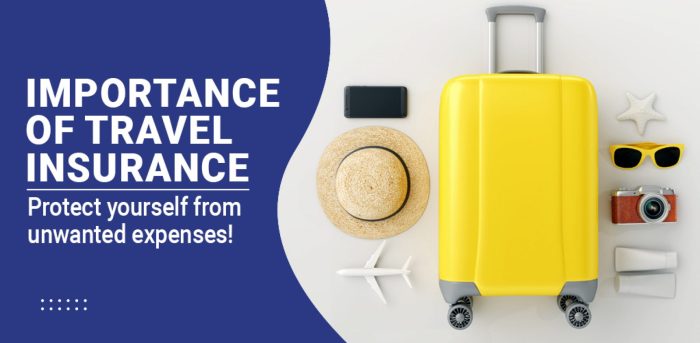 Insurance travel infographic facts au compare