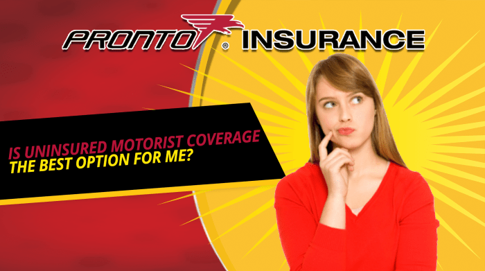 Better auto insurance