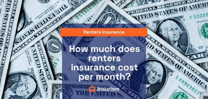 Insurance average cost renters very thus monthly low