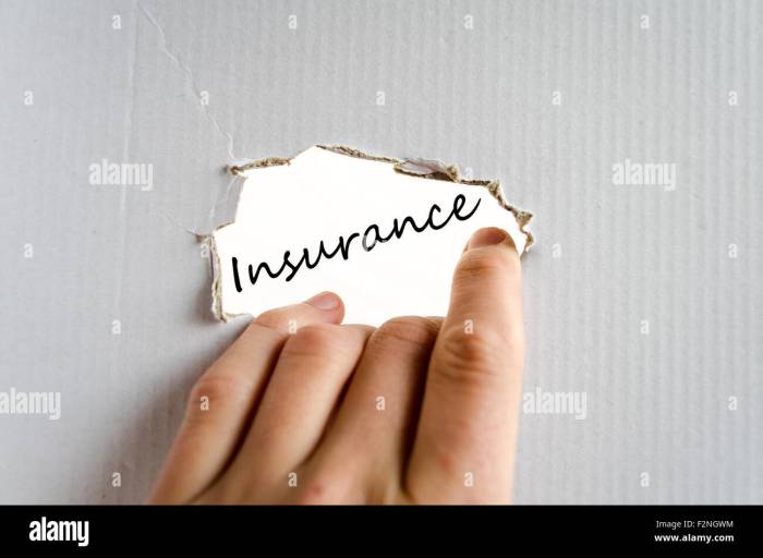 Insurance wuotes