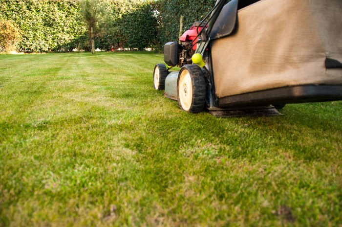 Lawn service insurance