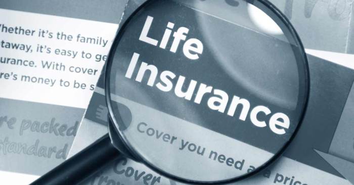 Best life insurance for young adults