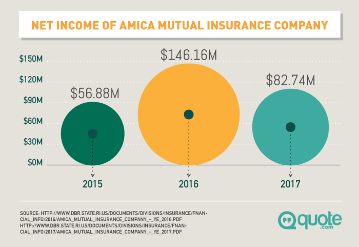 Amica insurance review