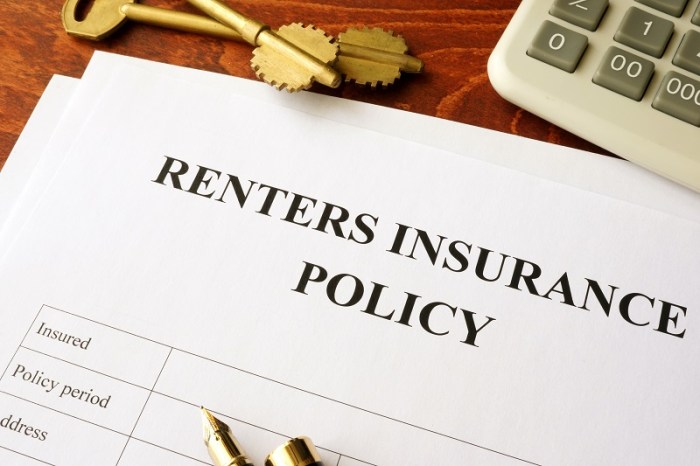 Airplane renters insurance