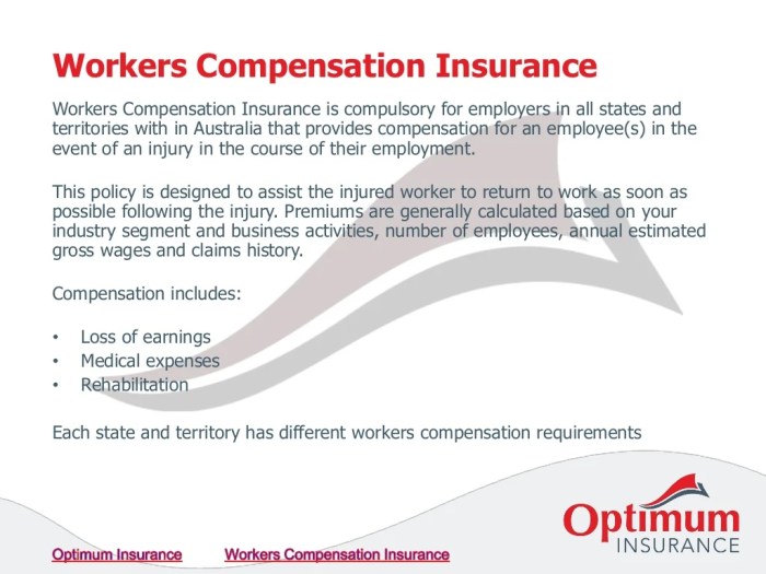 Workmen's comp insurance