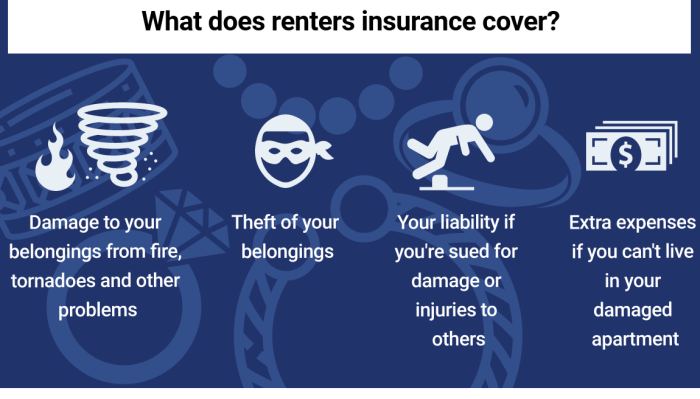 Apartment renters insurance cost