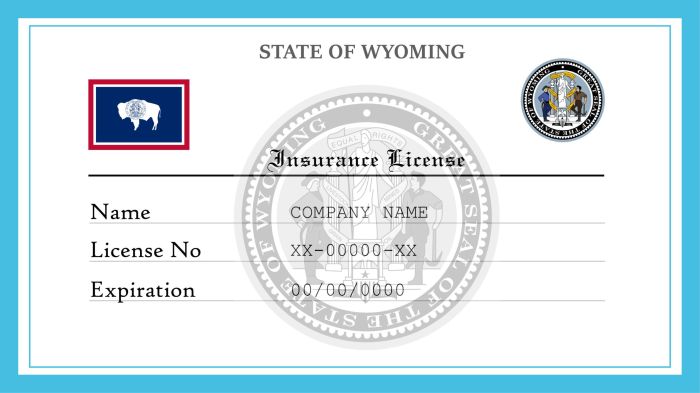 Auto insurance wyoming